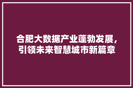 合肥大数据产业蓬勃发展，引领未来智慧城市新篇章