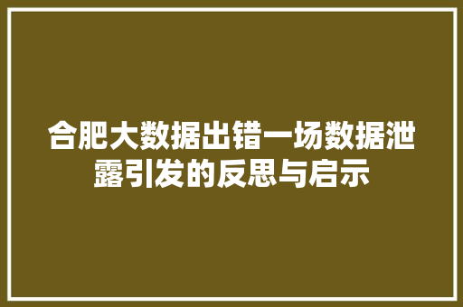 合肥大数据出错一场数据泄露引发的反思与启示
