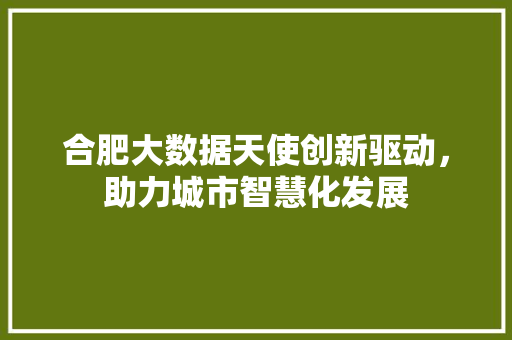 合肥大数据天使创新驱动，助力城市智慧化发展