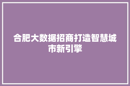 合肥大数据招商打造智慧城市新引擎