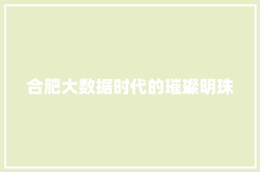 合肥大数据时代的璀璨明珠