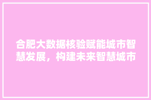 合肥大数据核验赋能城市智慧发展，构建未来智慧城市新蓝图