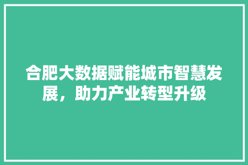 合肥大数据赋能城市智慧发展，助力产业转型升级 电脑配置