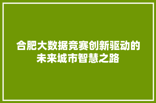 合肥大数据竞赛创新驱动的未来城市智慧之路 电脑配置