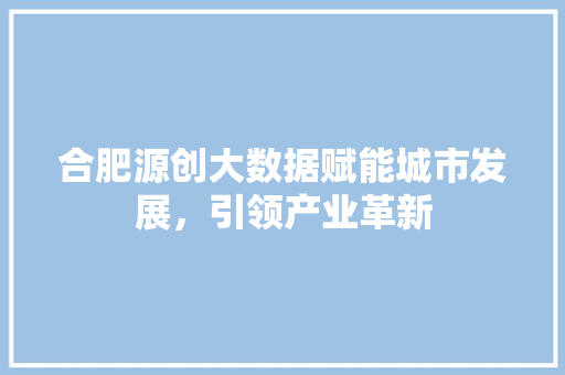 合肥源创大数据赋能城市发展，引领产业革新