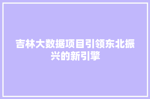 吉林大数据项目引领东北振兴的新引擎 吉林大数据项目引领东北振兴的新引擎