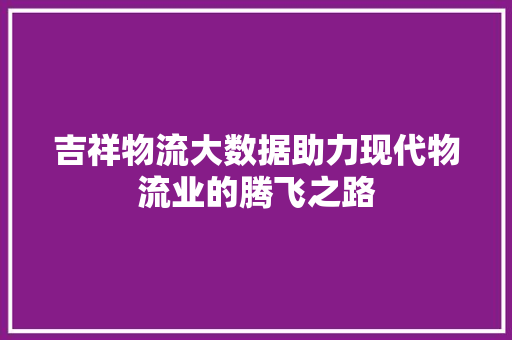 吉祥物流大数据助力现代物流业的腾飞之路