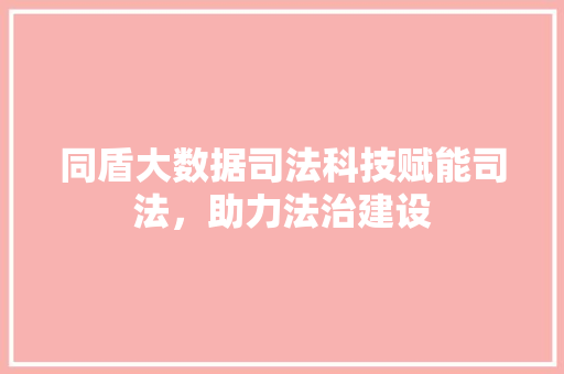 同盾大数据司法科技赋能司法,助力法治建设 同盾大数据司法科技赋能司法,助力法治建设