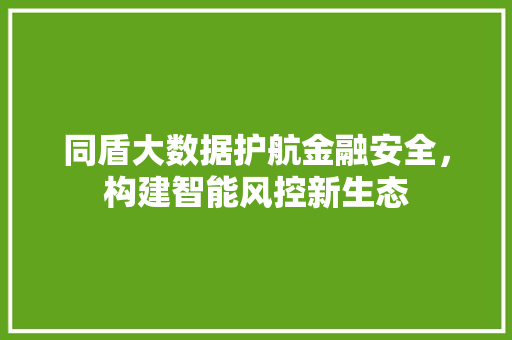 同盾大数据护航金融安全,构建智能风控新生态 同盾大数据护航金融安全,构建智能风控新生态