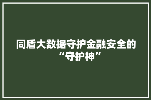 同盾大数据守护金融安全的“守护神” 同盾大数据守护金融安全的“守护神”