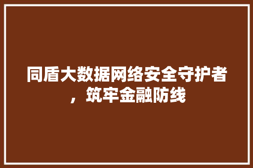 同盾大数据网络安全守护者,筑牢金融防线 同盾大数据网络安全守护者,筑牢金融防线