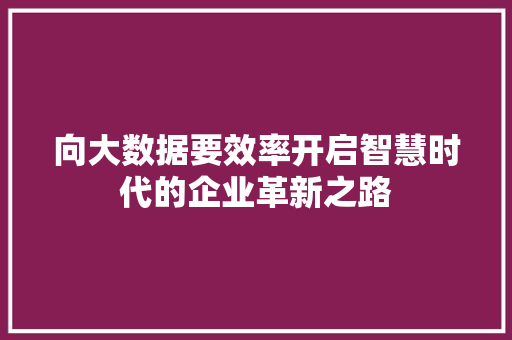 向大数据要效率开启智慧时代的企业革新之路