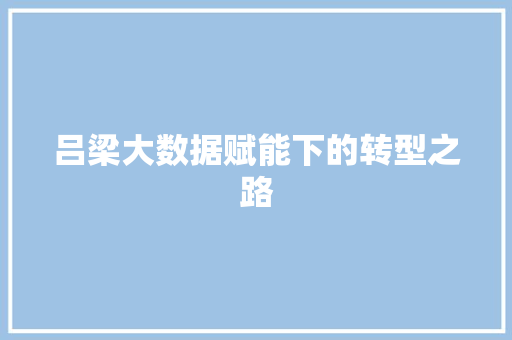 吕梁大数据赋能下的转型之路