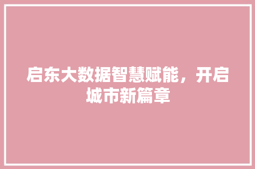 启东大数据智慧赋能，开启城市新篇章