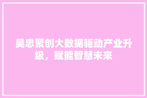 吴忠聚创大数据驱动产业升级，赋能智慧未来 网络技术