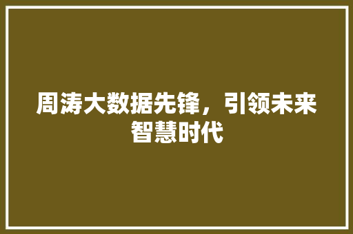 周涛大数据先锋，引领未来智慧时代