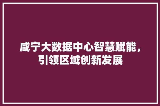咸宁大数据中心智慧赋能，引领区域创新发展 网络技术