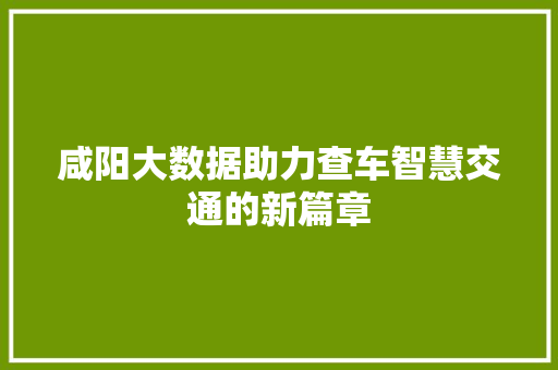 咸阳大数据助力查车智慧交通的新篇章 咸阳大数据助力查车智慧交通的新篇章