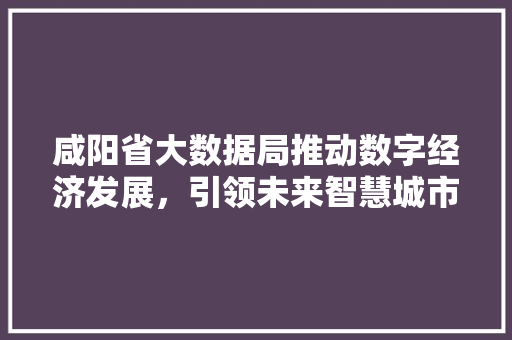 咸阳省大数据局推动数字经济发展，引领未来智慧城市 操作系统