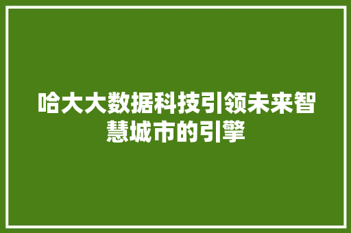 哈大大数据科技引领未来智慧城市的引擎