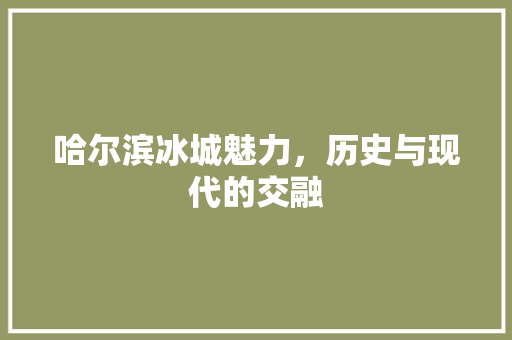 哈尔滨冰城魅力，历史与现代的交融