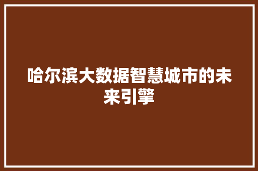 哈尔滨大数据智慧城市的未来引擎 编程语言 哈尔滨大数据智慧城市的未来引擎 编程语言