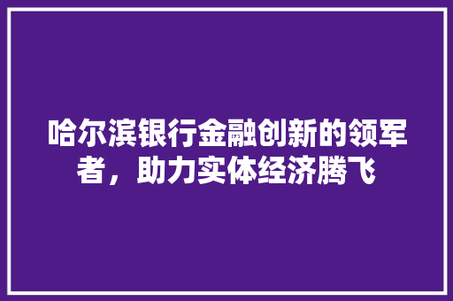 哈尔滨银行金融创新的领军者，助力实体经济腾飞 网络技术