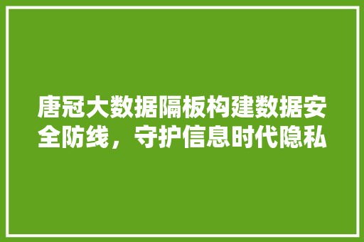唐冠大数据隔板构建数据安全防线,守护信息时代隐私 唐冠大数据隔板构建数据安全防线,守护信息时代隐私