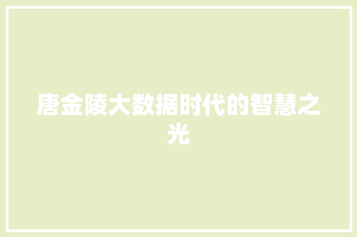 唐金陵大数据时代的智慧之光