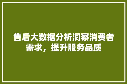 售后大数据分析洞察消费者需求，提升服务品质