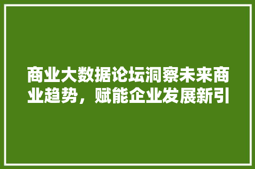 商业大数据论坛洞察未来商业趋势，赋能企业发展新引擎