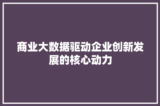 商业大数据驱动企业创新发展的核心动力 商业大数据驱动企业创新发展的核心动力
