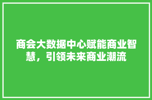 商会大数据中心赋能商业智慧，引领未来商业潮流 网络技术
