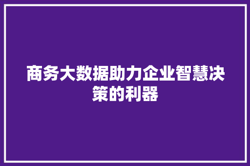 商务大数据助力企业智慧决策的利器