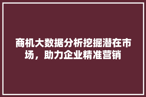 商机大数据分析挖掘潜在市场，助力企业精准营销