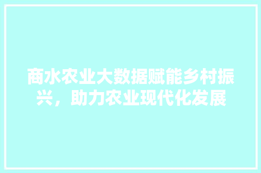 商水农业大数据赋能乡村振兴，助力农业现代化发展