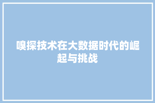嗅探技术在大数据时代的崛起与挑战