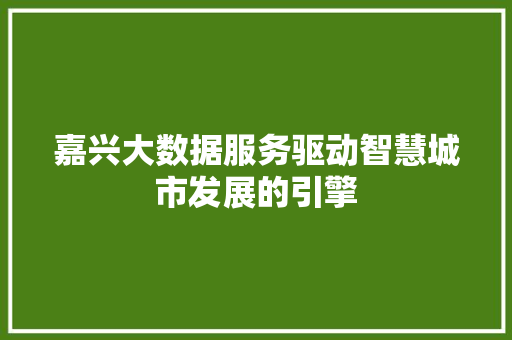嘉兴大数据服务驱动智慧城市发展的引擎