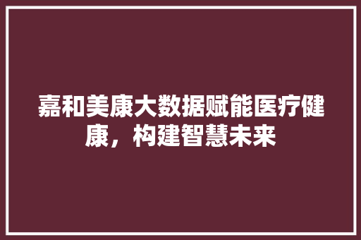 嘉和美康大数据赋能医疗健康，构建智慧未来