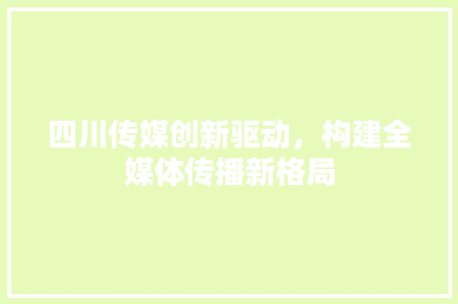 四川传媒创新驱动，构建全媒体传播新格局