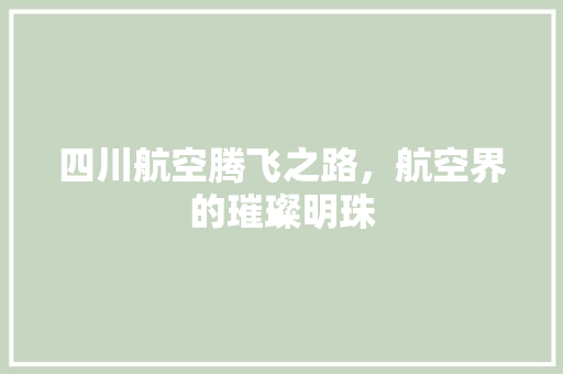四川航空腾飞之路，航空界的璀璨明珠