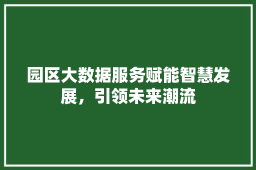 园区大数据服务赋能智慧发展，引领未来潮流