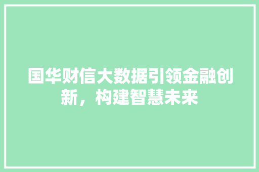 国华财信大数据引领金融创新，构建智慧未来