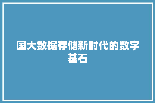 国大数据存储新时代的数字基石