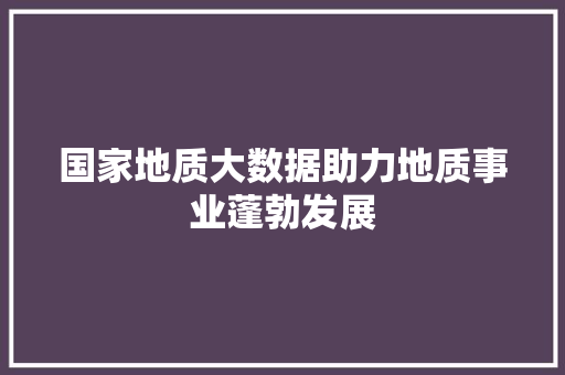 国家地质大数据助力地质事业蓬勃发展 编程语言