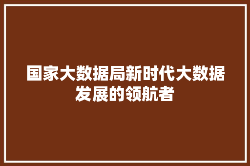 国家大数据局新时代大数据发展的领航者 电脑配置