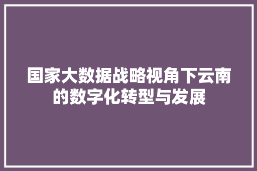 国家大数据战略视角下云南的数字化转型与发展