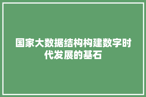 国家大数据结构构建数字时代发展的基石 网络技术