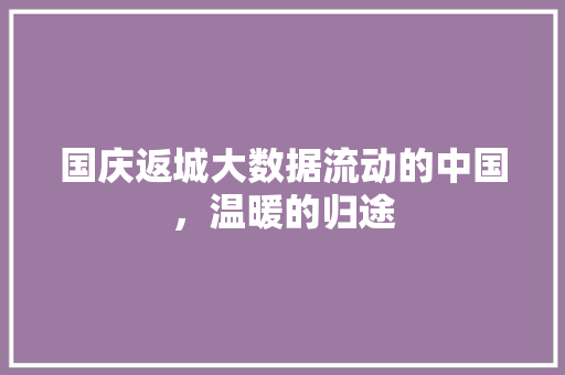 国庆返城大数据流动的中国，温暖的归途
