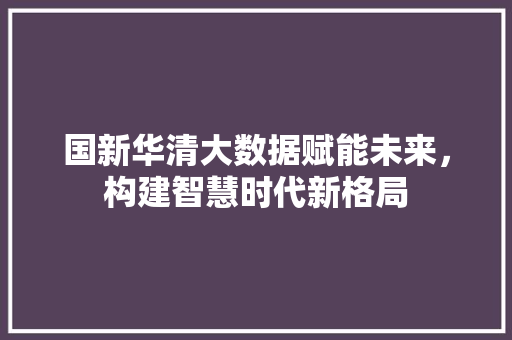 国新华清大数据赋能未来，构建智慧时代新格局